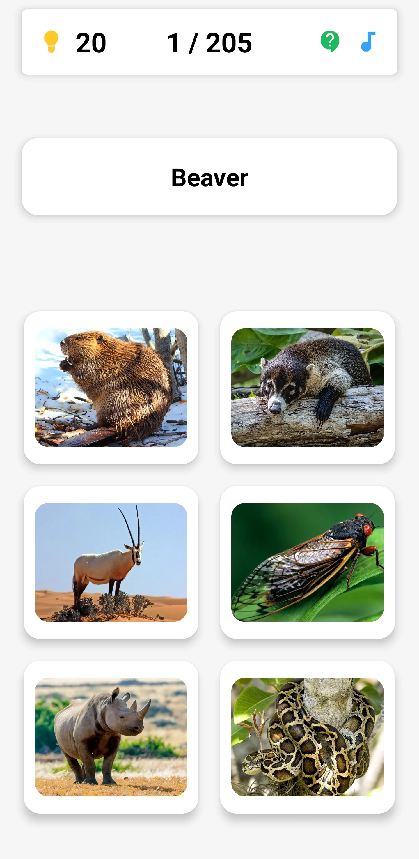 Animal Quiz: Guess the Animal screenshot