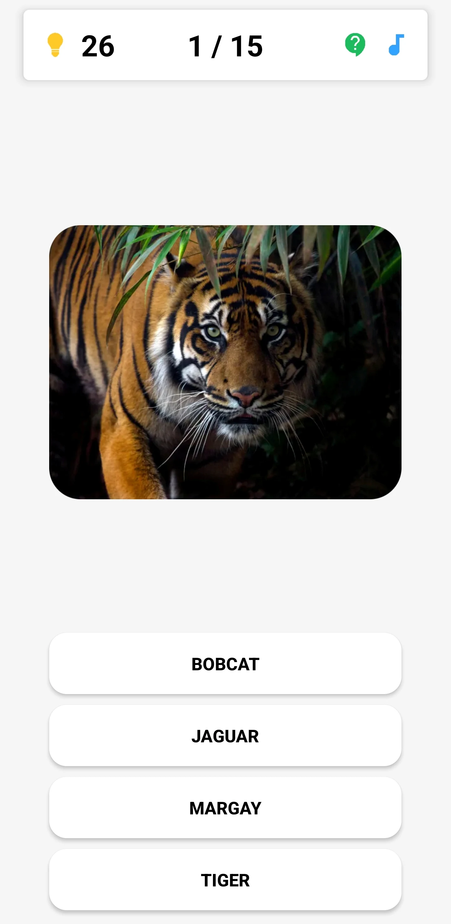 Animal Quiz: Guess the Animal screenshot