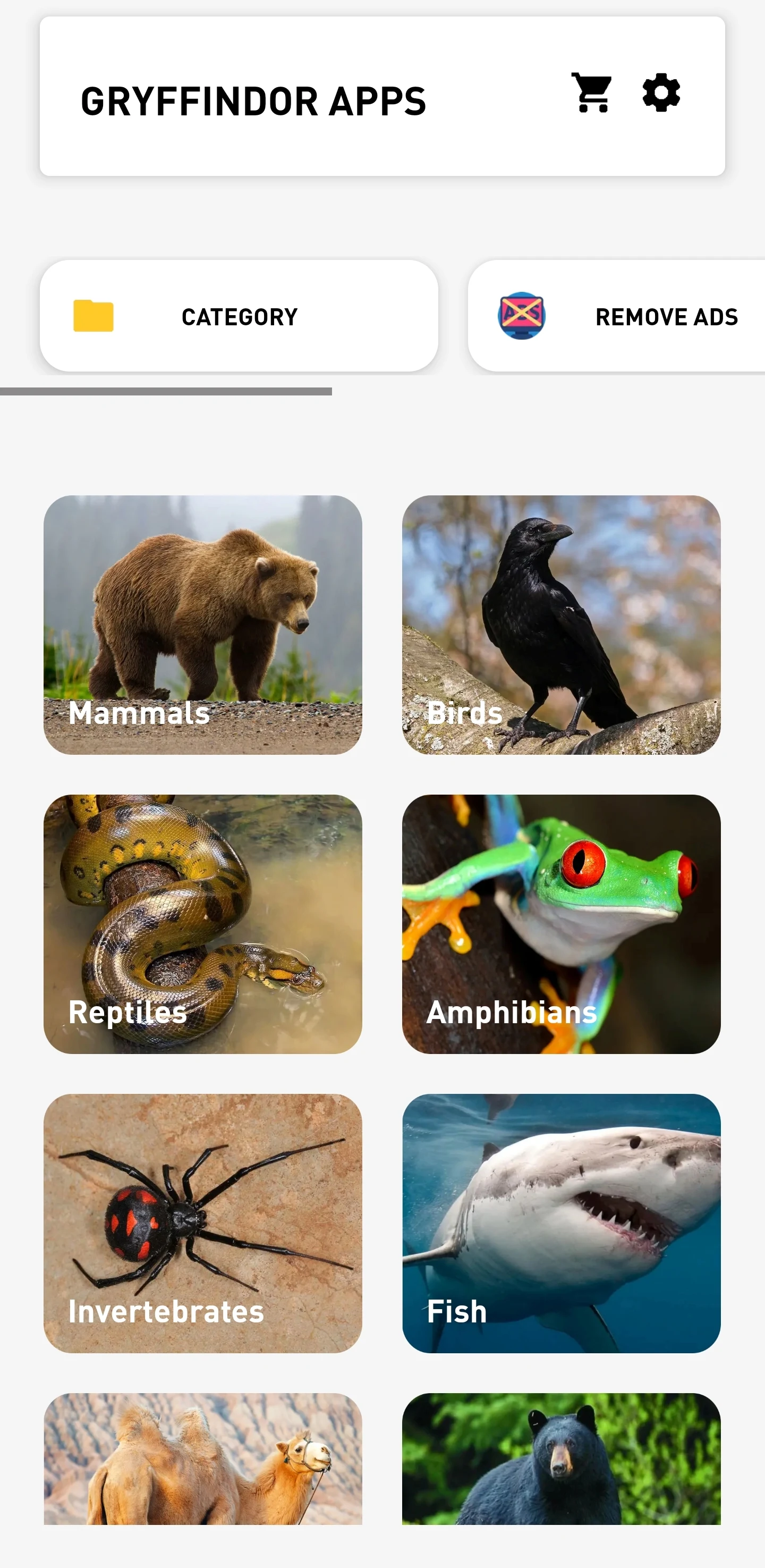 Animal Quiz: Guess the Animal screenshot
